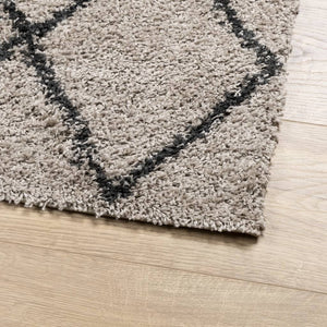 vidaXL Shaggy Rug PAMPLONA High Pile Modern Beige and Anthracite 80x150 cm