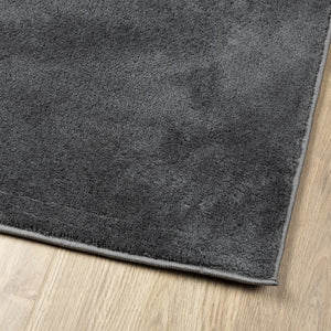 vidaXL Rug OVIEDO Short Pile Anthracite 60x110 cm