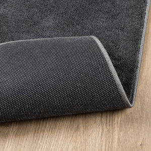 vidaXL Rug OVIEDO Short Pile Anthracite 60x110 cm