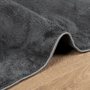 vidaXL Rug OVIEDO Short Pile Anthracite 60x110 cm