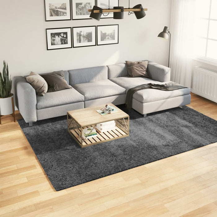 vidaXL Rug OVIEDO Short Pile Anthracite 200x280 cm