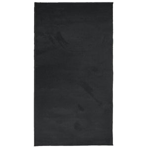 vidaXL Rug OVIEDO Short Pile Black 60x110 cm