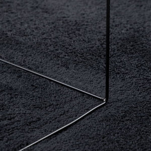 vidaXL Rug OVIEDO Short Pile Black Ø 200 cm