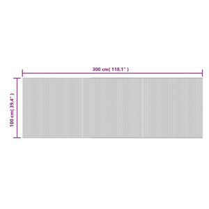 vidaXL Rug Rectangular Grey 100x300 cm Bamboo