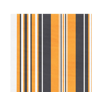 vidaXL Replacement Fabric for Awning Multicolour Stripe 3.5x2.5 m