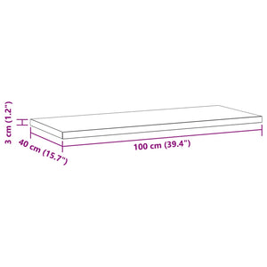 vidaXL Wall Shelves 2 pcs 100x40x3 cm Silver Stainless Steel