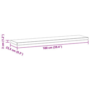 vidaXL Wall Shelves 2 pcs 100x23.5x3 cm Silver Stainless Steel