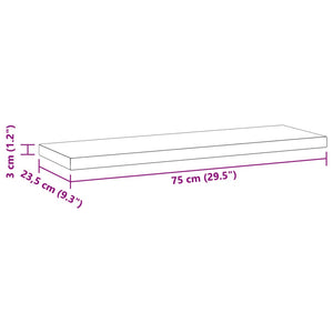 vidaXL Wall Shelves 2 pcs 75x23.5x3 cm Silver Stainless Steel