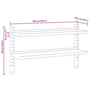 vidaXL 2-Tier Wall Shelf 100x23.5x60 cm Silver Stainless Steel