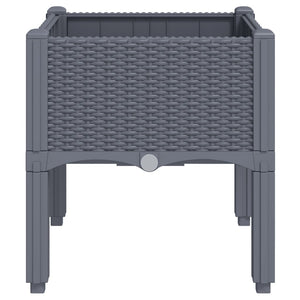 vidaXL Garden Planter with Legs Grey 40x40x42 cm PP