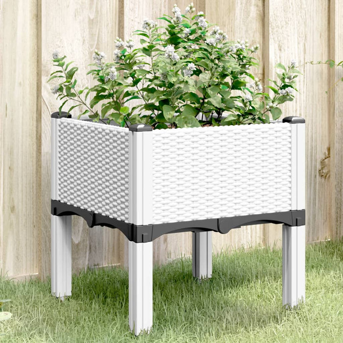 vidaXL Garden Planter with Legs White 40x40x42 cm PP