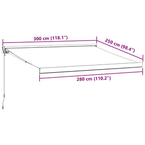 vidaXL Manual Retractable Awning Burgundy 300x250 cm