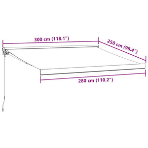 vidaXL Manual Retractable Awning Brown 300x250 cm