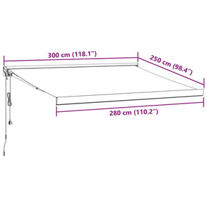 vidaXL Automatic Retractable Awning Brown 300x250 cm