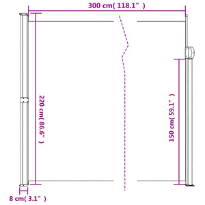 vidaXL Retractable Side Awning Blue 220x300 cm