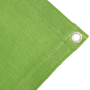 vidaXL Tent Carpet Light Green 250x200 cm HDPE