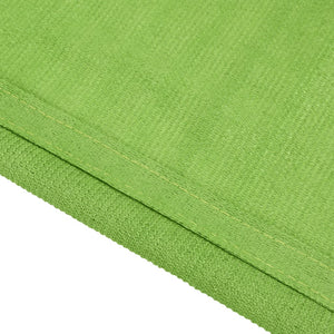 vidaXL Tent Carpet Light Green 250x400 cm HDPE