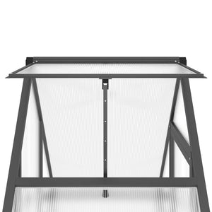 vidaXL Greenhouse with Base Frame Anthracite 169x58x202 cm Aluminium