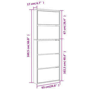 vidaXL Shoe Cabinet with Mirror 5-Layer Black 63x17x169.5 cm