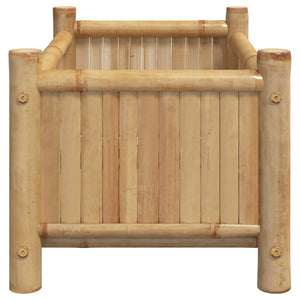 vidaXL Planter 50x30x25 cm Bamboo