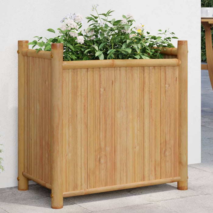 vidaXL Planter 50x30x50 cm Bamboo