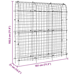 vidaXL Garden Trellis for Climbing Plants U-Shape 181x31x182.5 cm Steel