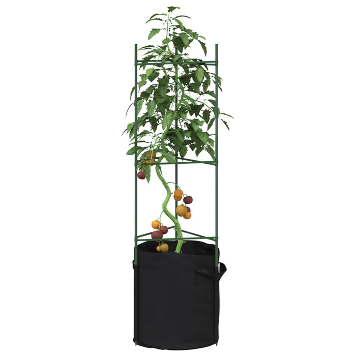 vidaXL Tomato Cage with Plant Bag 2 pcs 116 cm Steel and PP