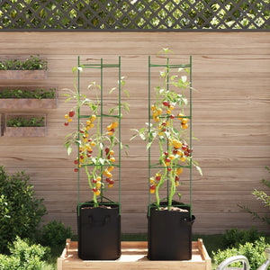 vidaXL Tomato Cage with Plant Bag 2 pcs 154 cm Steel and PP