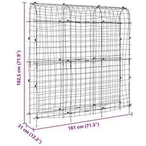 vidaXL Garden Trellises for Climbing Plants 2 pcs U-Shape Steel