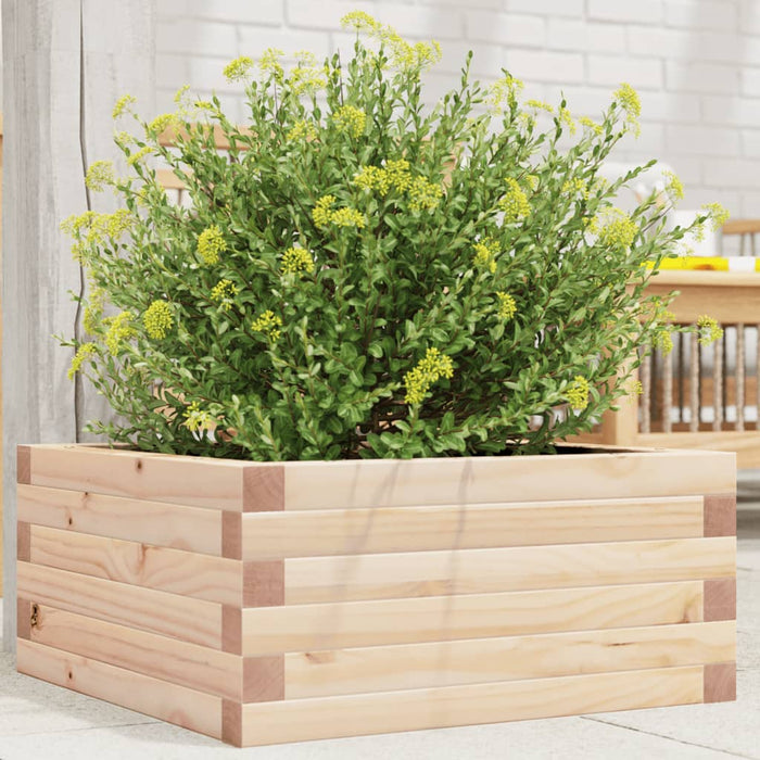 vidaXL Garden Planter 50x50x23 cm Solid Wood Pine