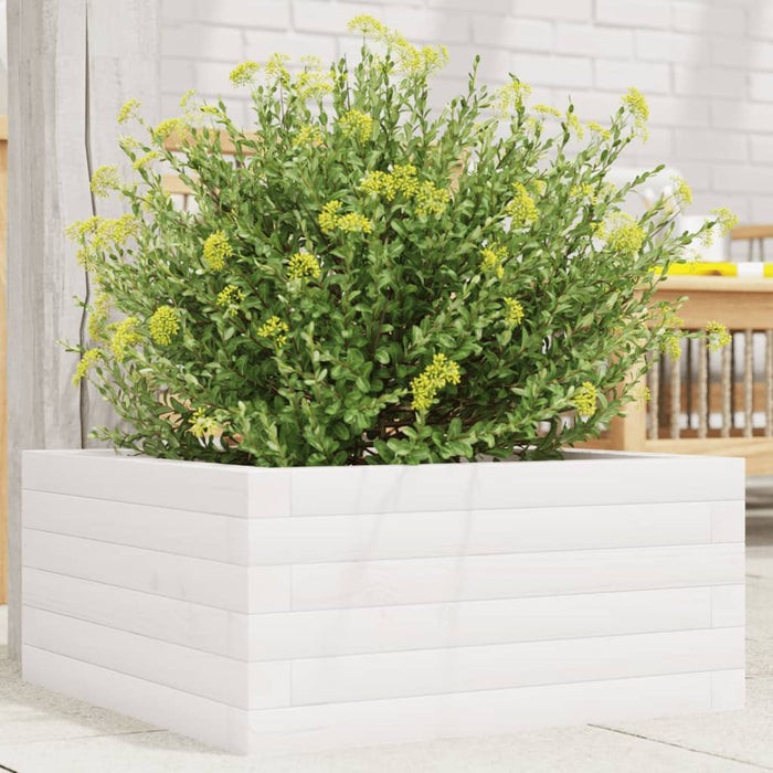 vidaXL Garden Planter White 50x50x23 cm Solid Wood Pine