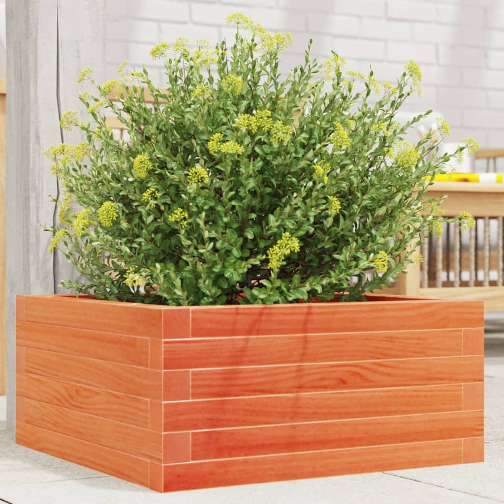 vidaXL Garden Planter Wax Brown 50x50x23 cm Solid Wood Pine