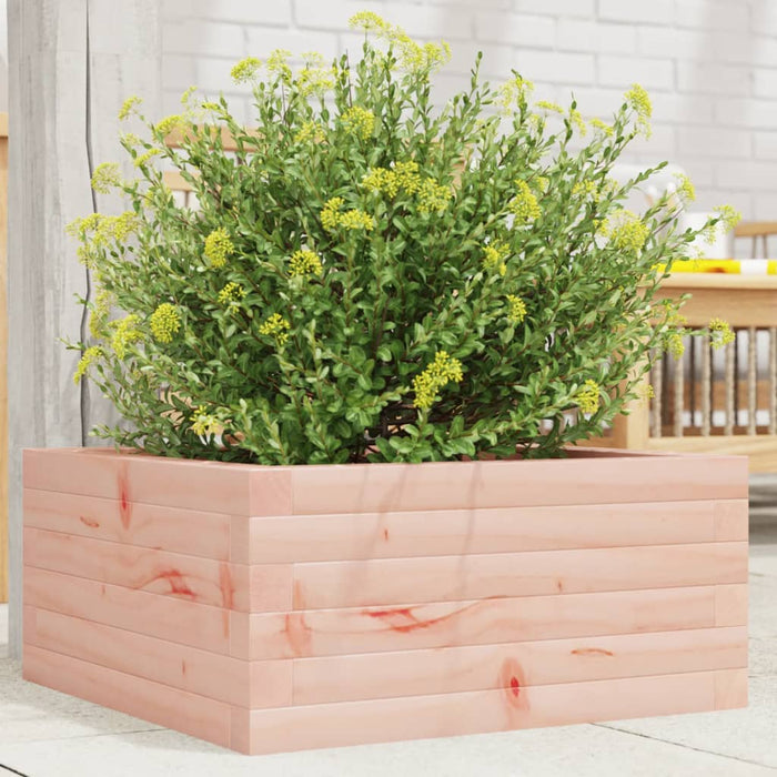 vidaXL Garden Planter 50x50x23 cm Solid Wood Douglas