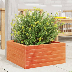 vidaXL Garden Planter Wax Brown 60x60x23 cm Solid Wood Pine