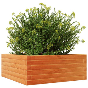 vidaXL Garden Planter Wax Brown 60x60x23 cm Solid Wood Pine