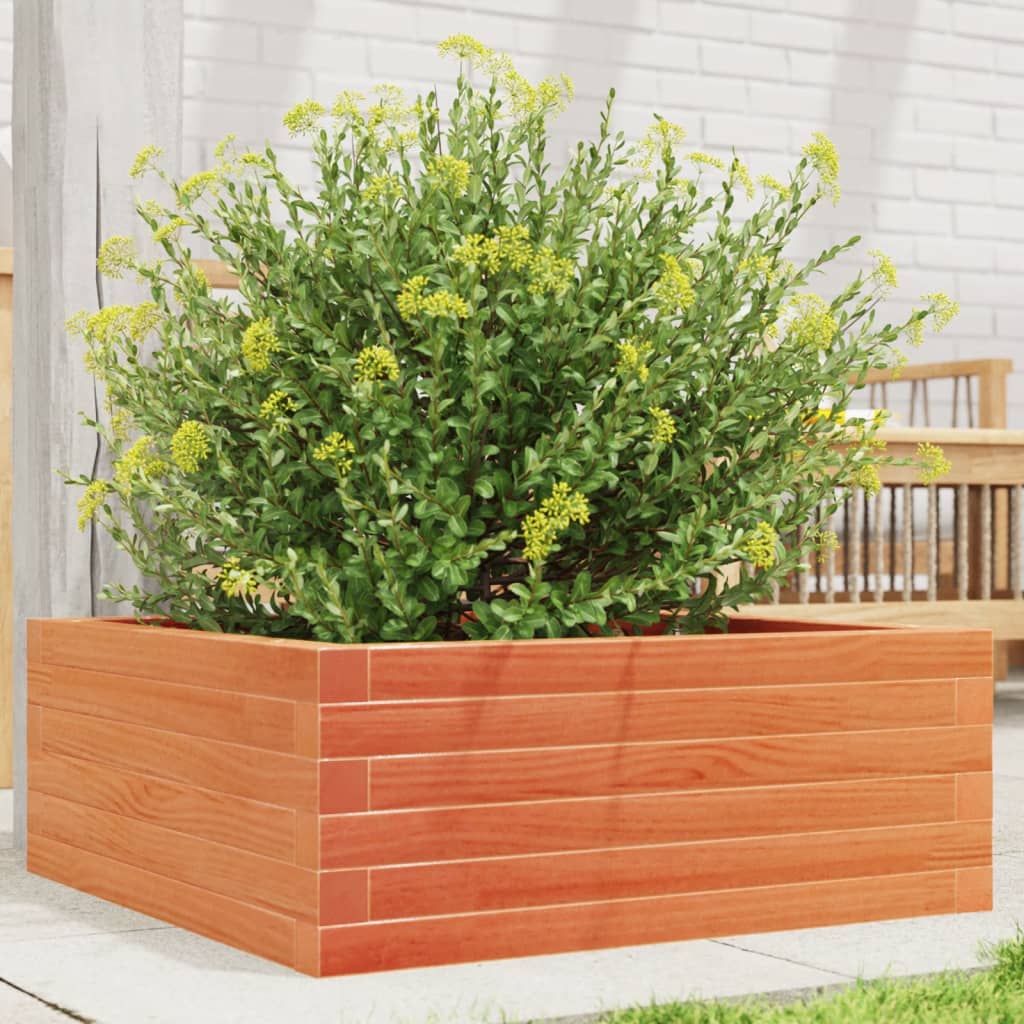 vidaXL Garden Planter Wax Brown 60x60x23 cm Solid Wood Pine