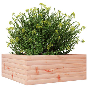 vidaXL Garden Planter 60x60x23 cm Solid Wood Douglas