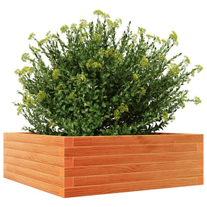 vidaXL Garden Planter Wax Brown 70x70x23 cm Solid Wood Pine