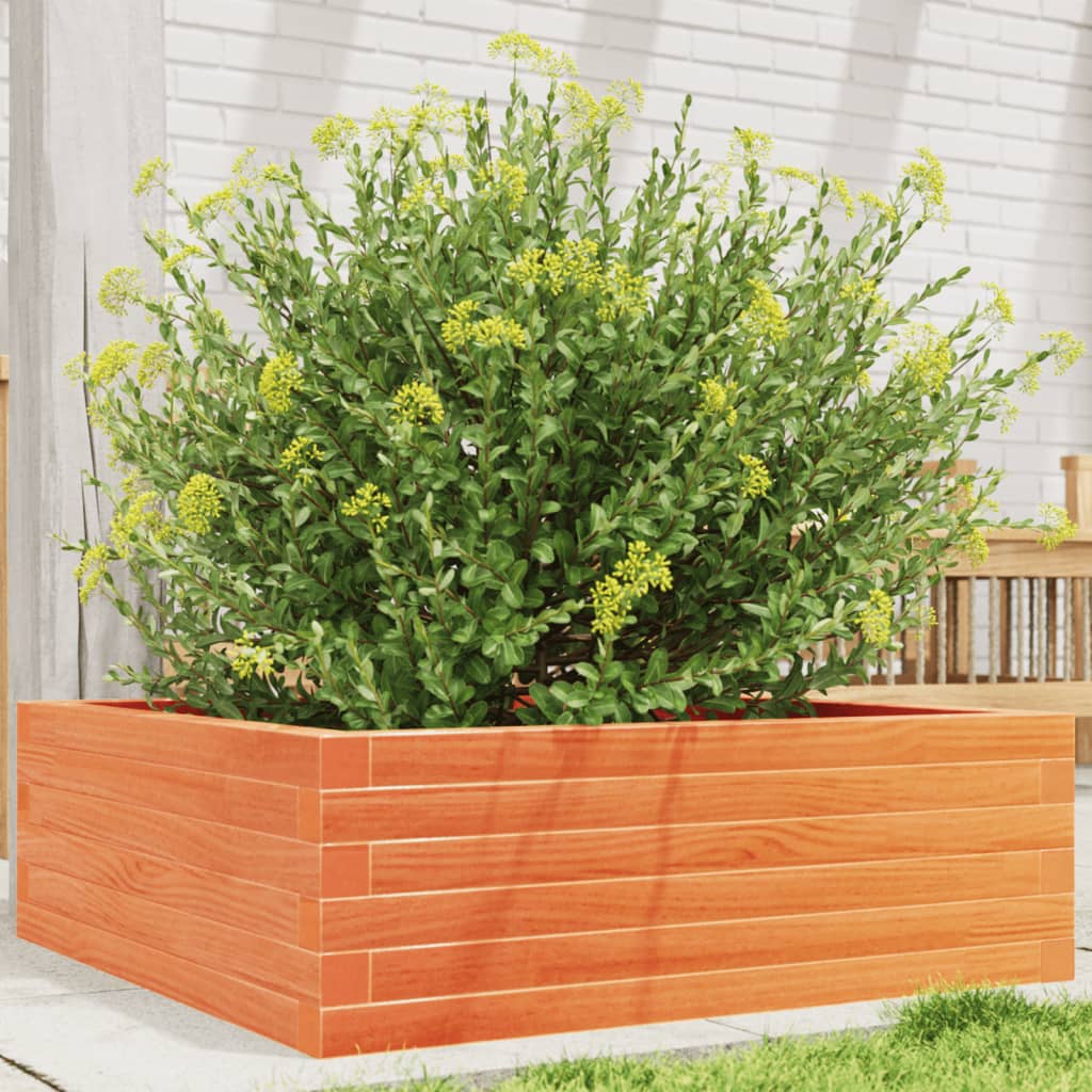 vidaXL Garden Planter Wax Brown 70x70x23 cm Solid Wood Pine