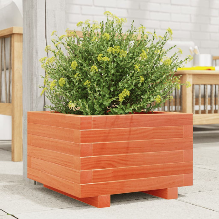 vidaXL Garden Planter Wax Brown 40x40x26.5 cm Solid Wood Pine