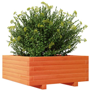 vidaXL Garden Planter Wax Brown 60x60x26.5 cm Solid Wood Pine