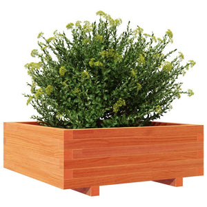 vidaXL Garden Planter Wax Brown 70x70x26.5 cm Solid Wood Pine