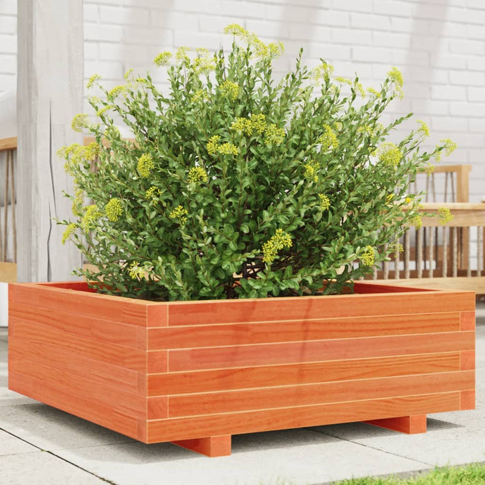 vidaXL Garden Planter Wax Brown 70x70x26.5 cm Solid Wood Pine