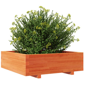 vidaXL Garden Planter Wax Brown 80x80x26.5 cm Solid Wood Pine