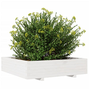 vidaXL Garden Planter White 100x100x26.5 cm Solid Wood Pine