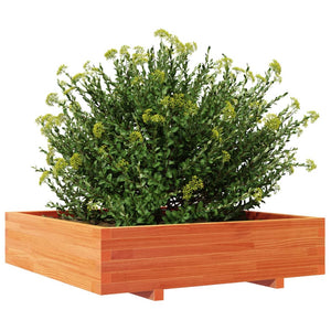 vidaXL Garden Planter Wax Brown 100x100x26.5 cm Solid Wood Pine