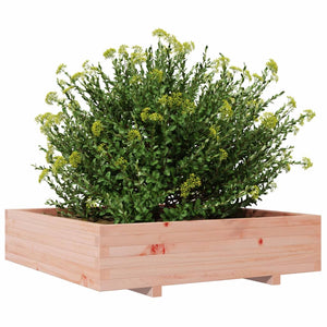 vidaXL Garden Planter 100x100x26.5 cm Solid Wood Douglas