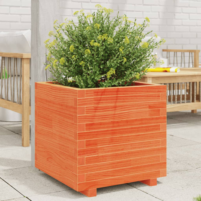 vidaXL Garden Planter Wax Brown 50x50x49.5 cm Solid Wood Pine