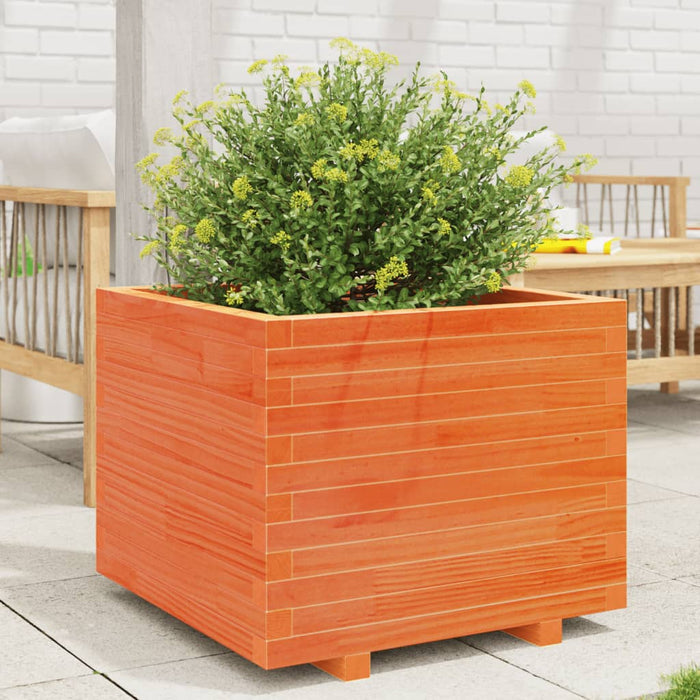 vidaXL Garden Planter Wax Brown 60x60x49.5 cm Solid Wood Pine