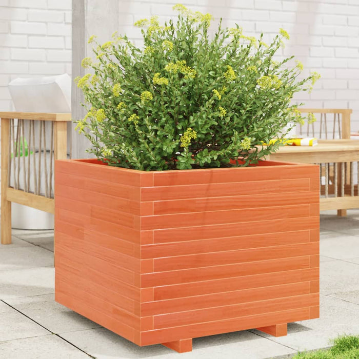 vidaXL Garden Planter Wax Brown 60x60x49.5 cm Solid Wood Pine